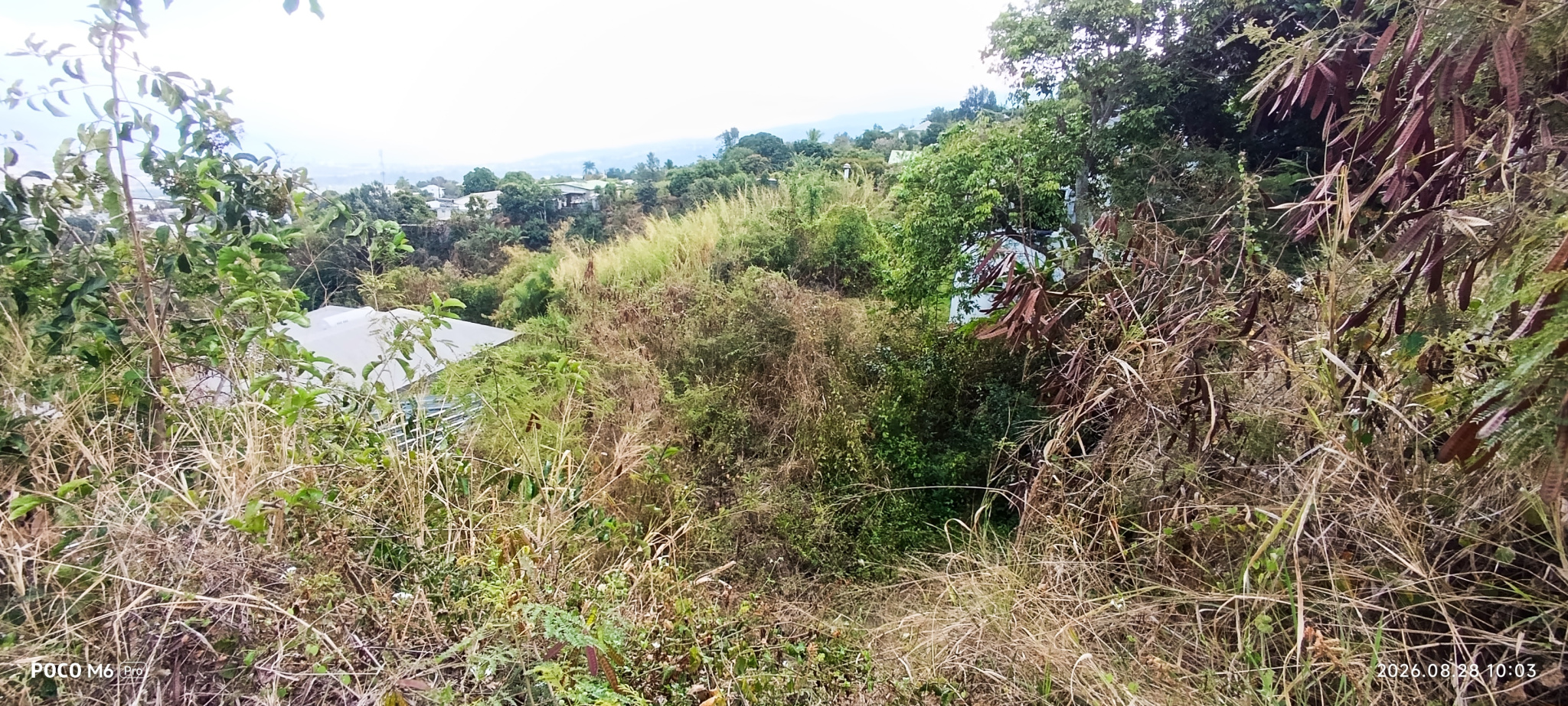 Terrain constructible à vendre à St paul, 879 m² – photo 3 sur 10