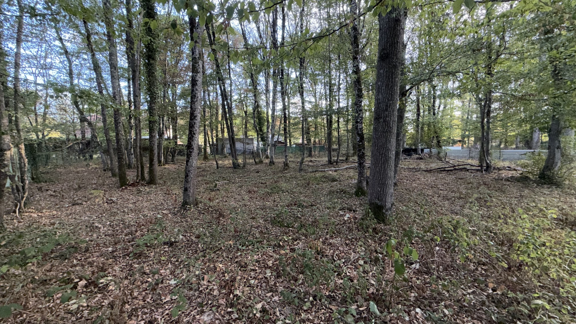 Maison à vendre à Bazoches sur le betz, 52 m², 3 pièces – photo 3 sur 19